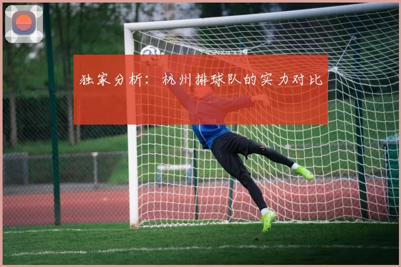 独家分析：杭州排球队的实力对比