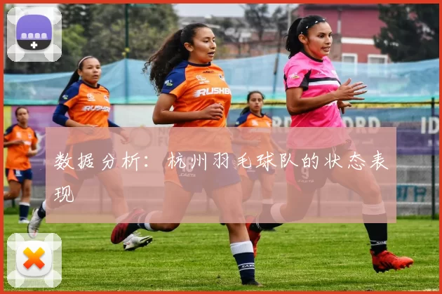 数据分析：杭州羽毛球队的状态表现