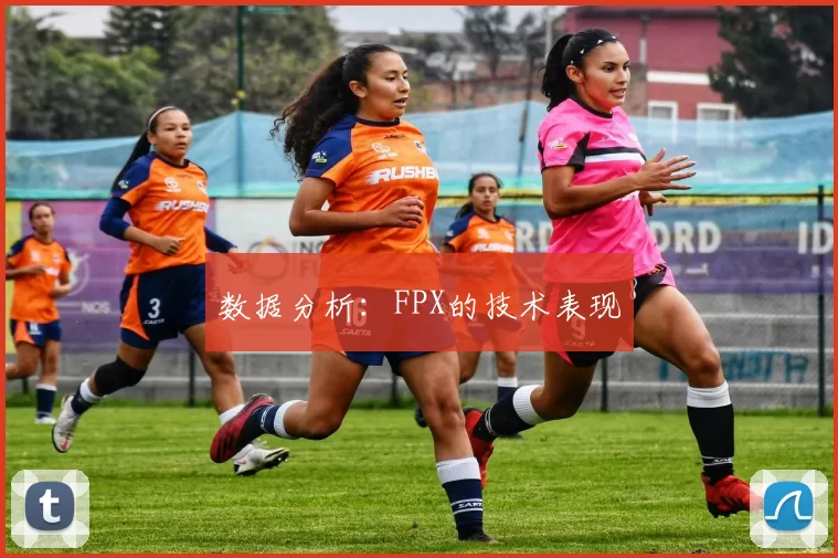 数据分析：FPX的技术表现