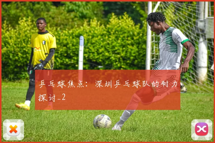 乒乓球焦点：深圳乒乓球队的耐力探讨_2